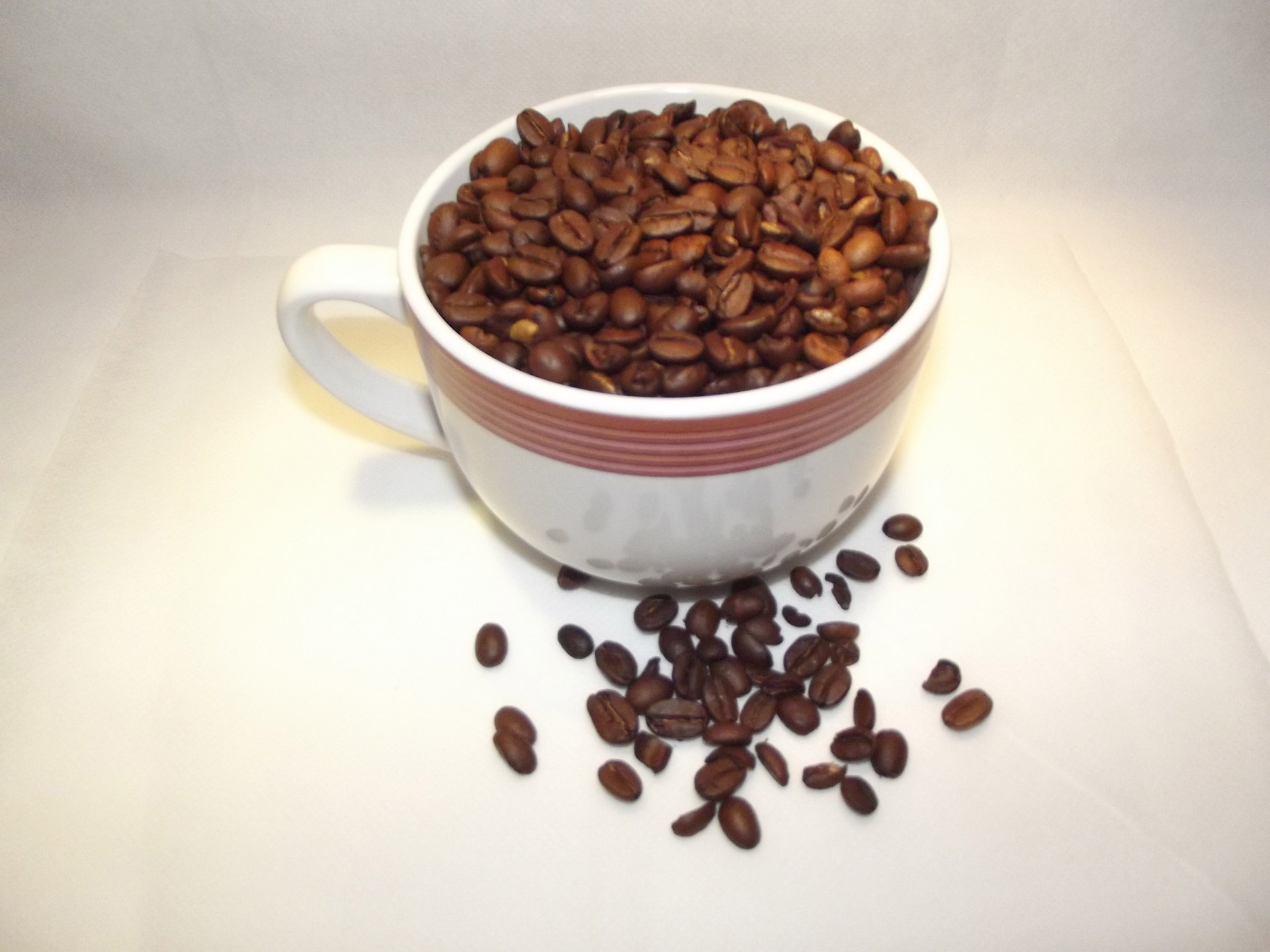 cup coffee beans free photo