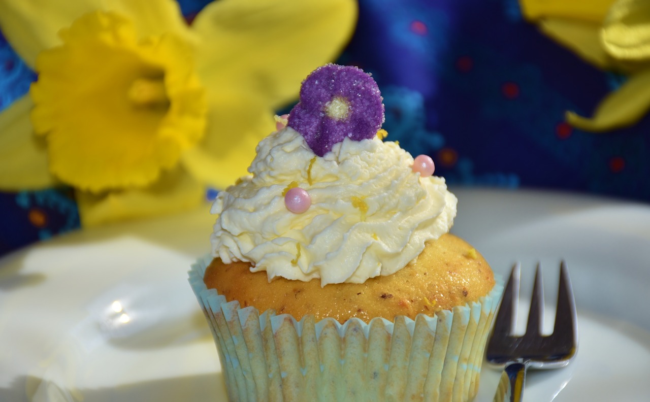 cupcake cake muffin free photo