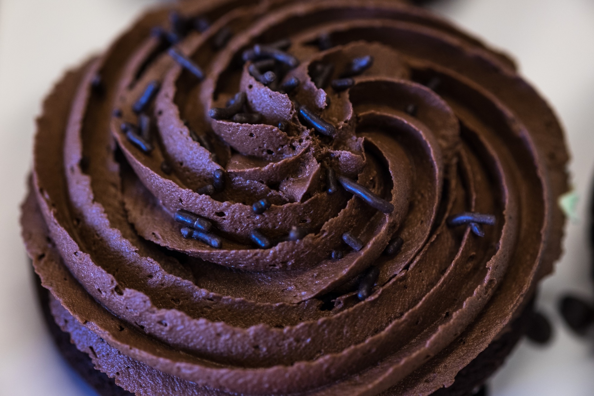 cupcake chocolate icing free photo
