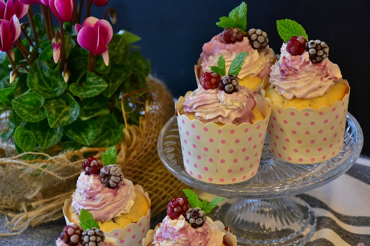cupcake muffin cake free photo