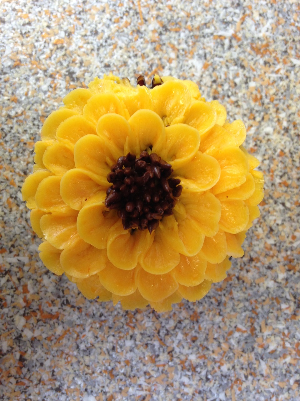 cupcake sunflower decorated bakery free photo