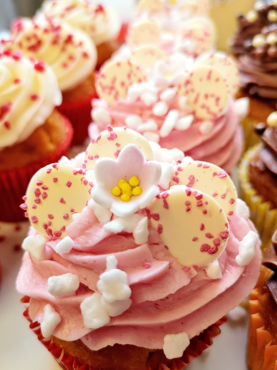 cupcakes  treats  sweet free photo