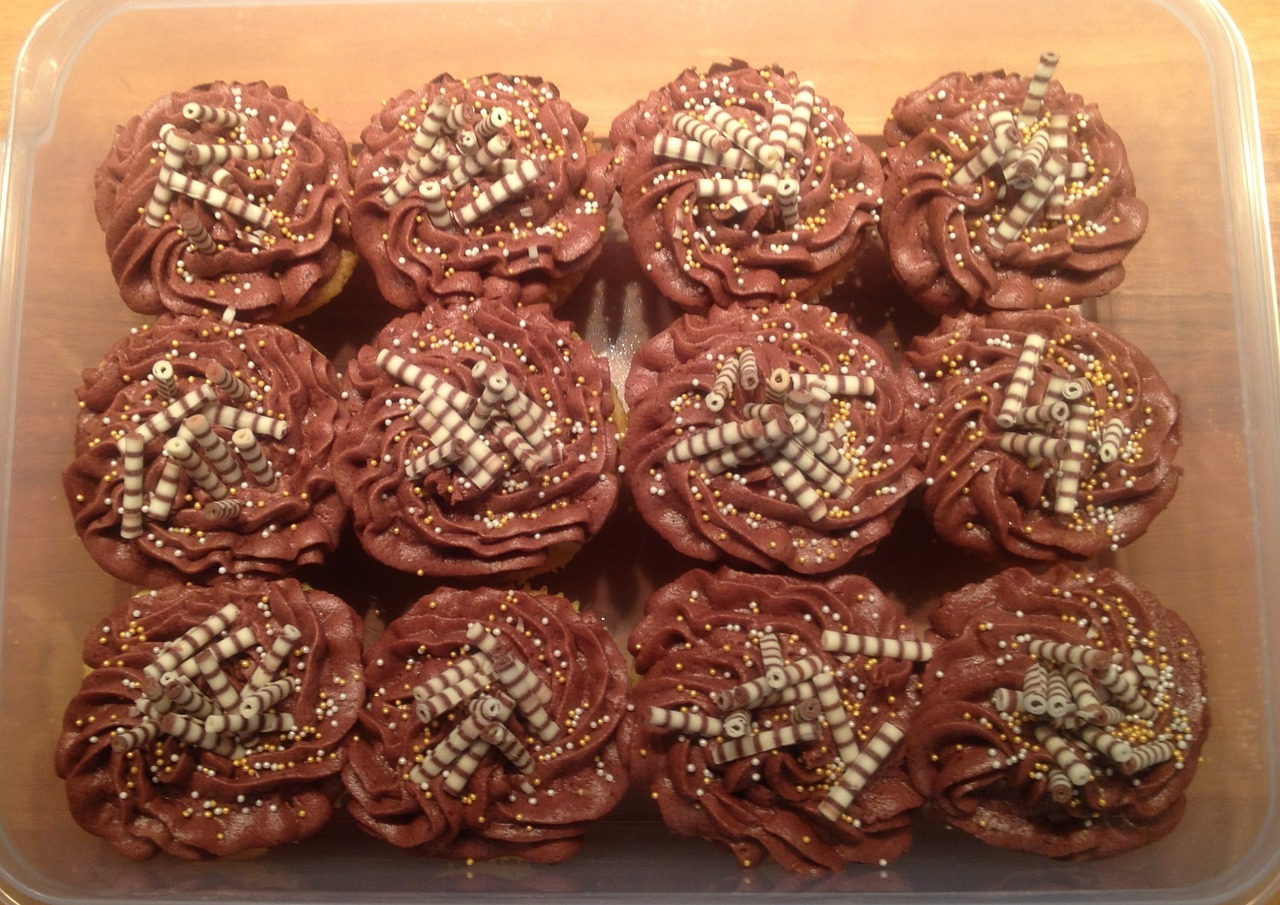 cupcakes chocolate sweet free photo