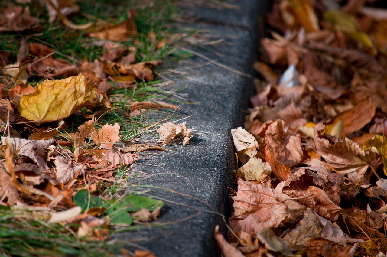 curb  road  sidewalk free photo