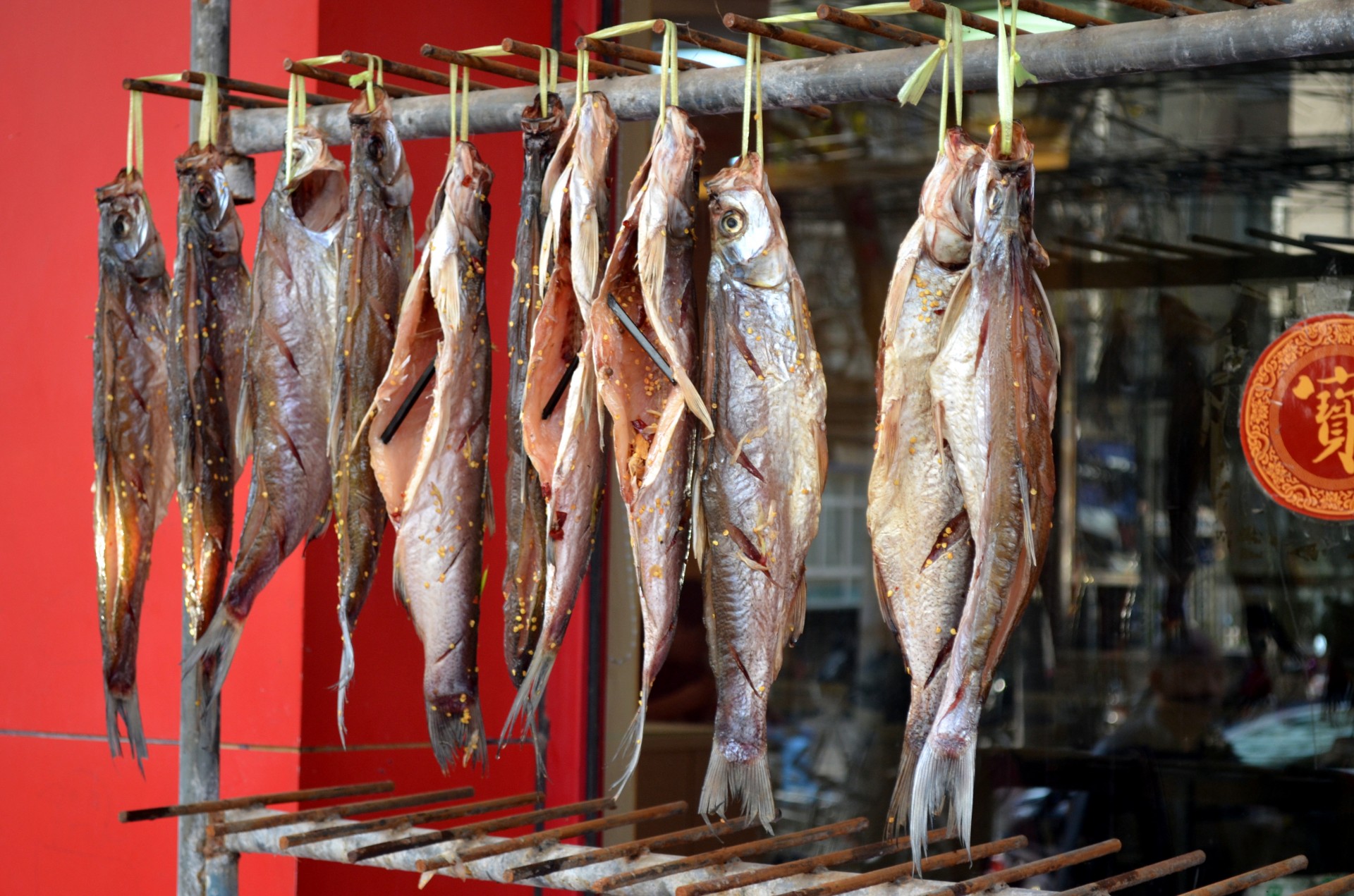 Food fish curing cured preserve Free Image From Needpix