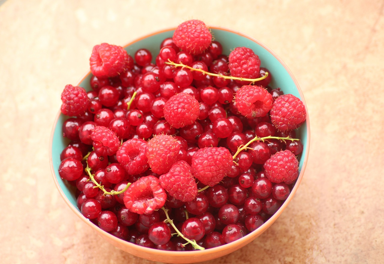 currant  raspberries  fruit free photo