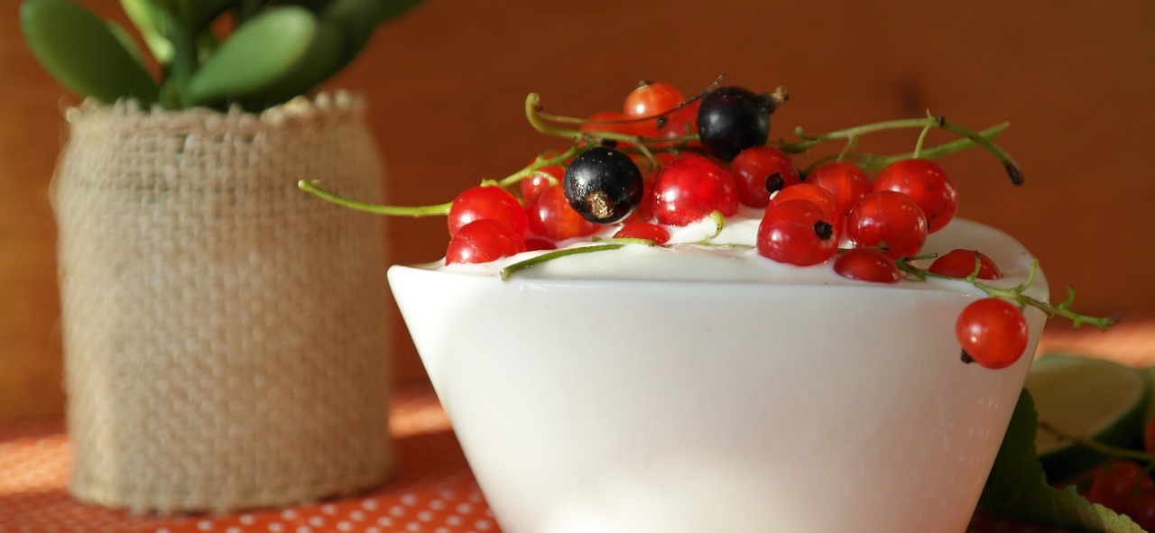 currants berries fruit free photo