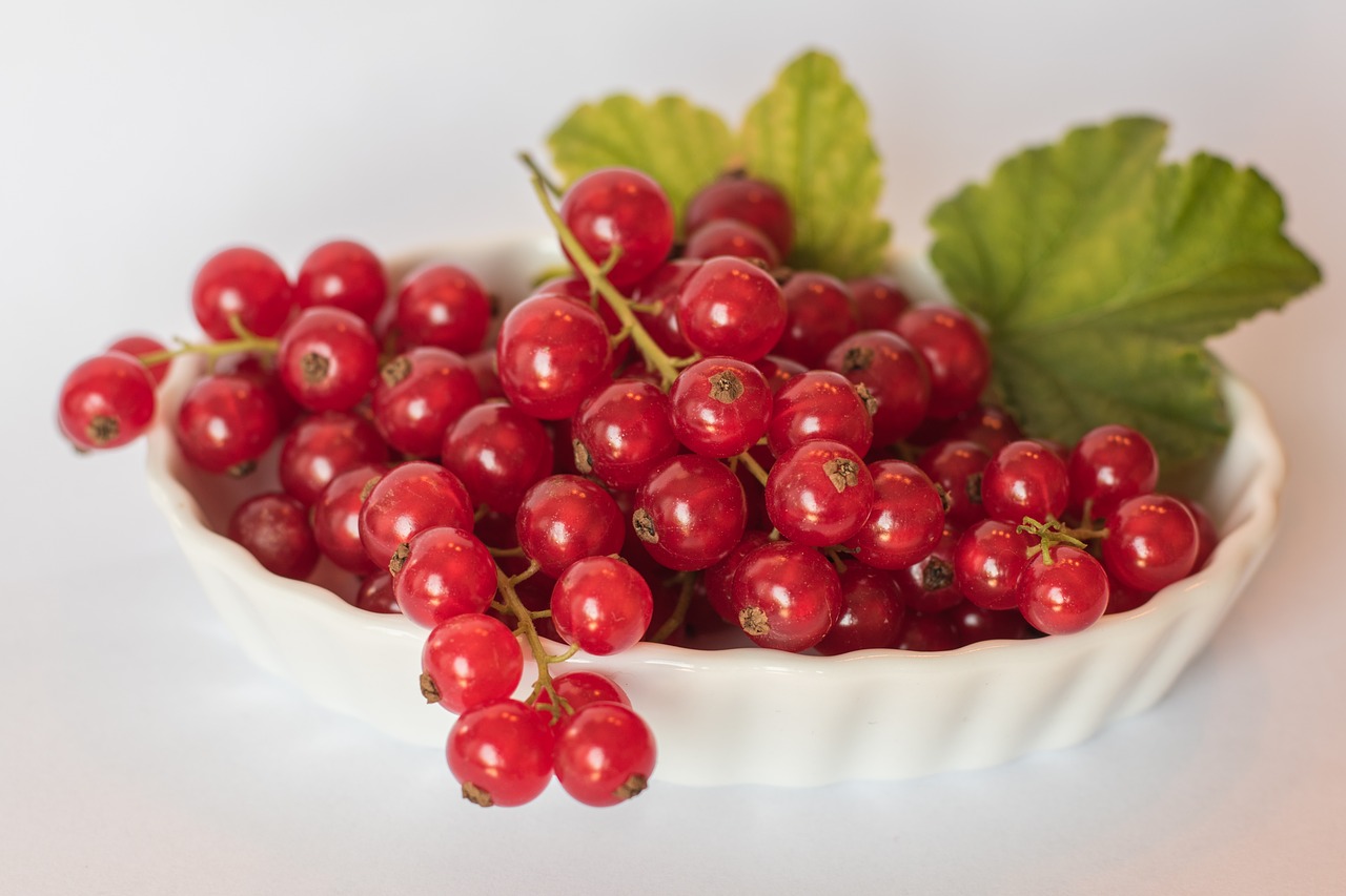 currants red summer healthy free photo