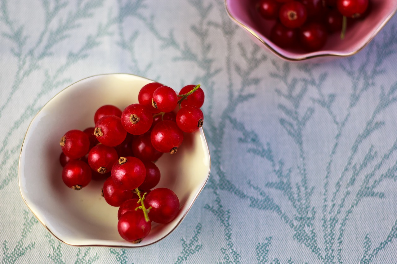 currants fruit healthy free photo