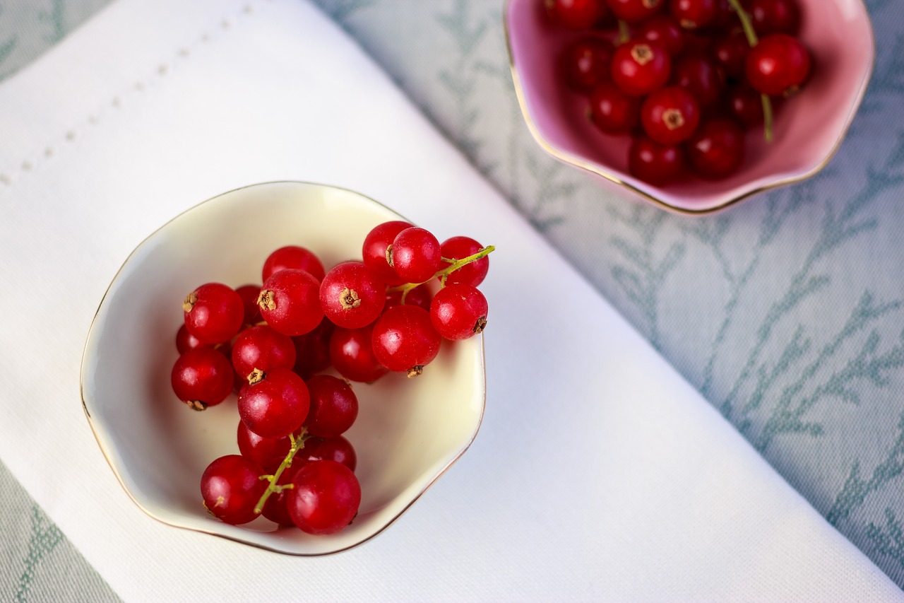 currants fruit healthy free photo