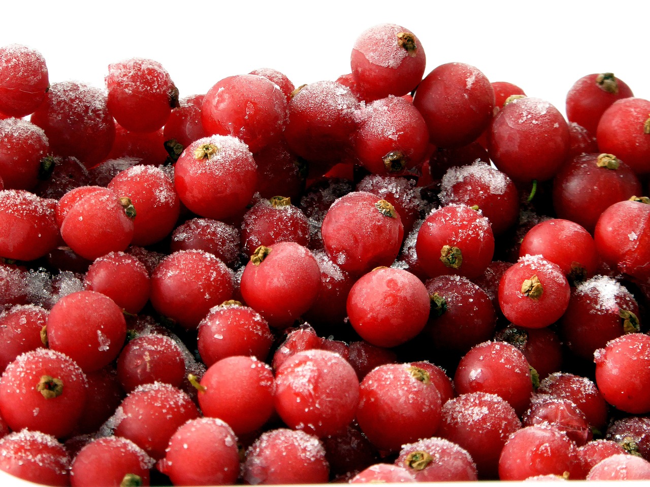 currants red fruit free photo