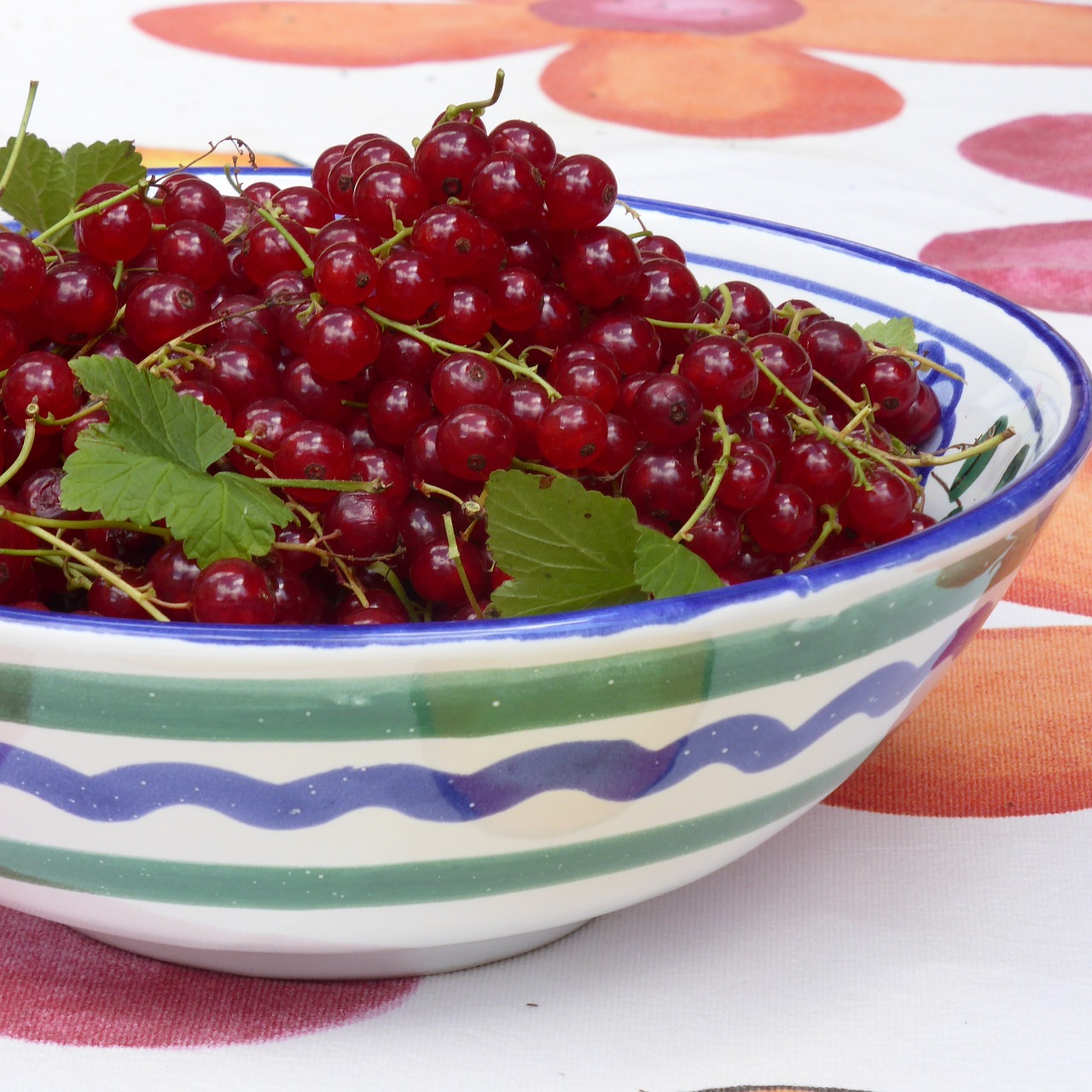 currants red red currant free photo