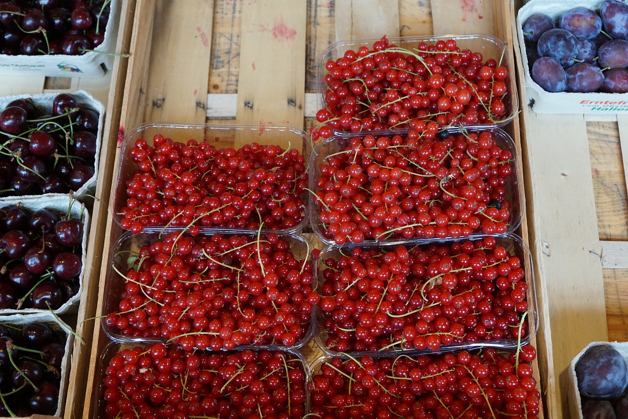 currants red market free photo