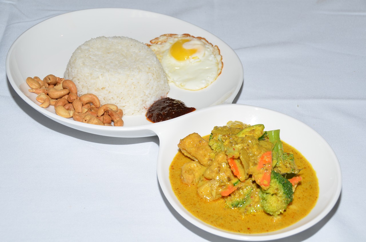 curry malay rise free photo