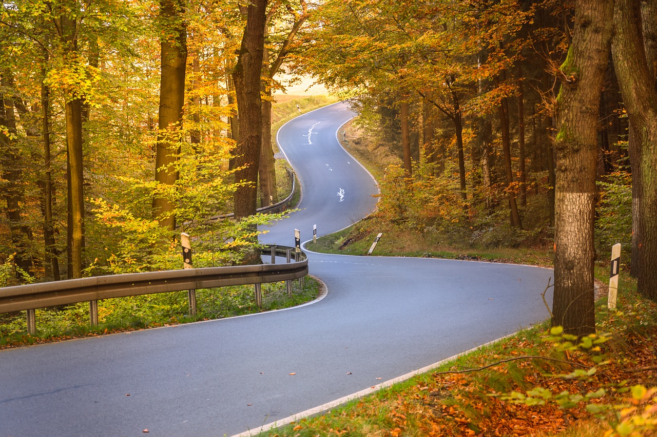 curves autumn forest fall foliage free photo