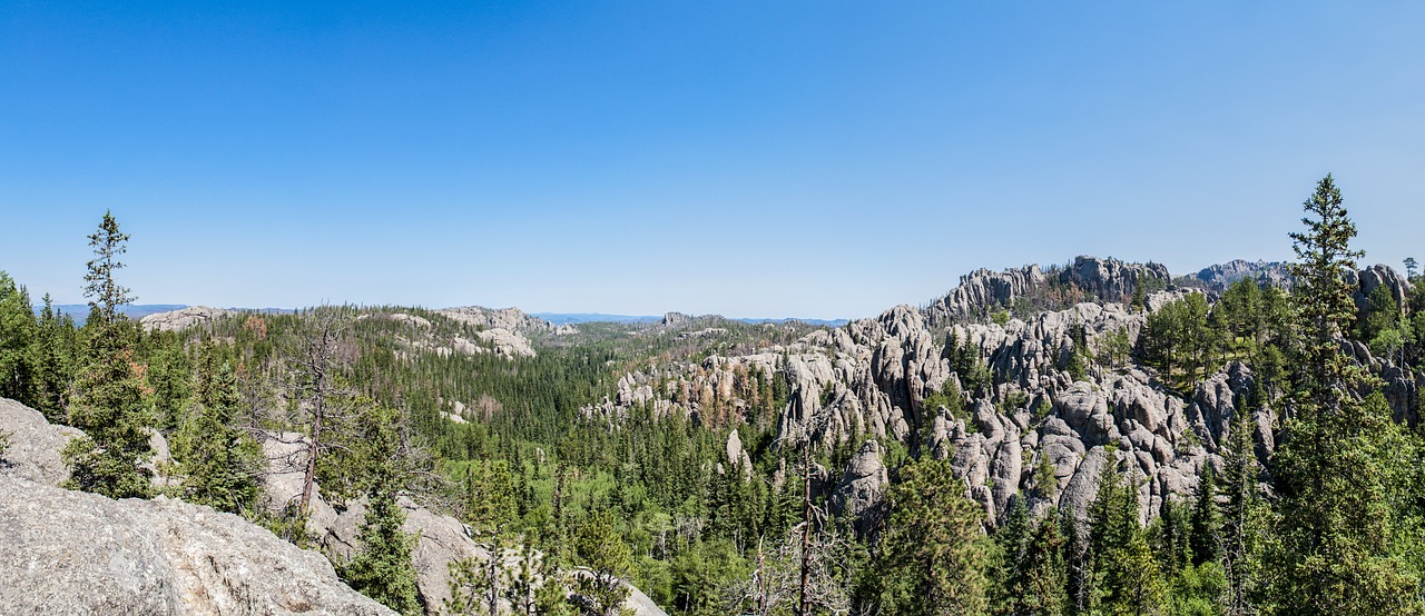 custer state park wyoming panorama free photo