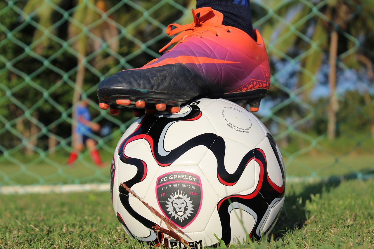 custom  soccer  ball free photo