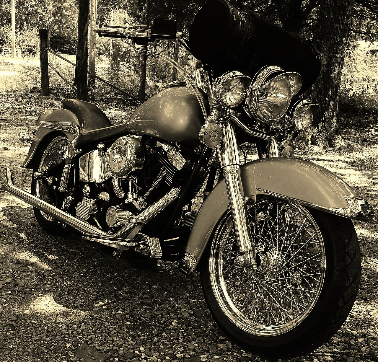 custom harley motorcycle chrome free photo