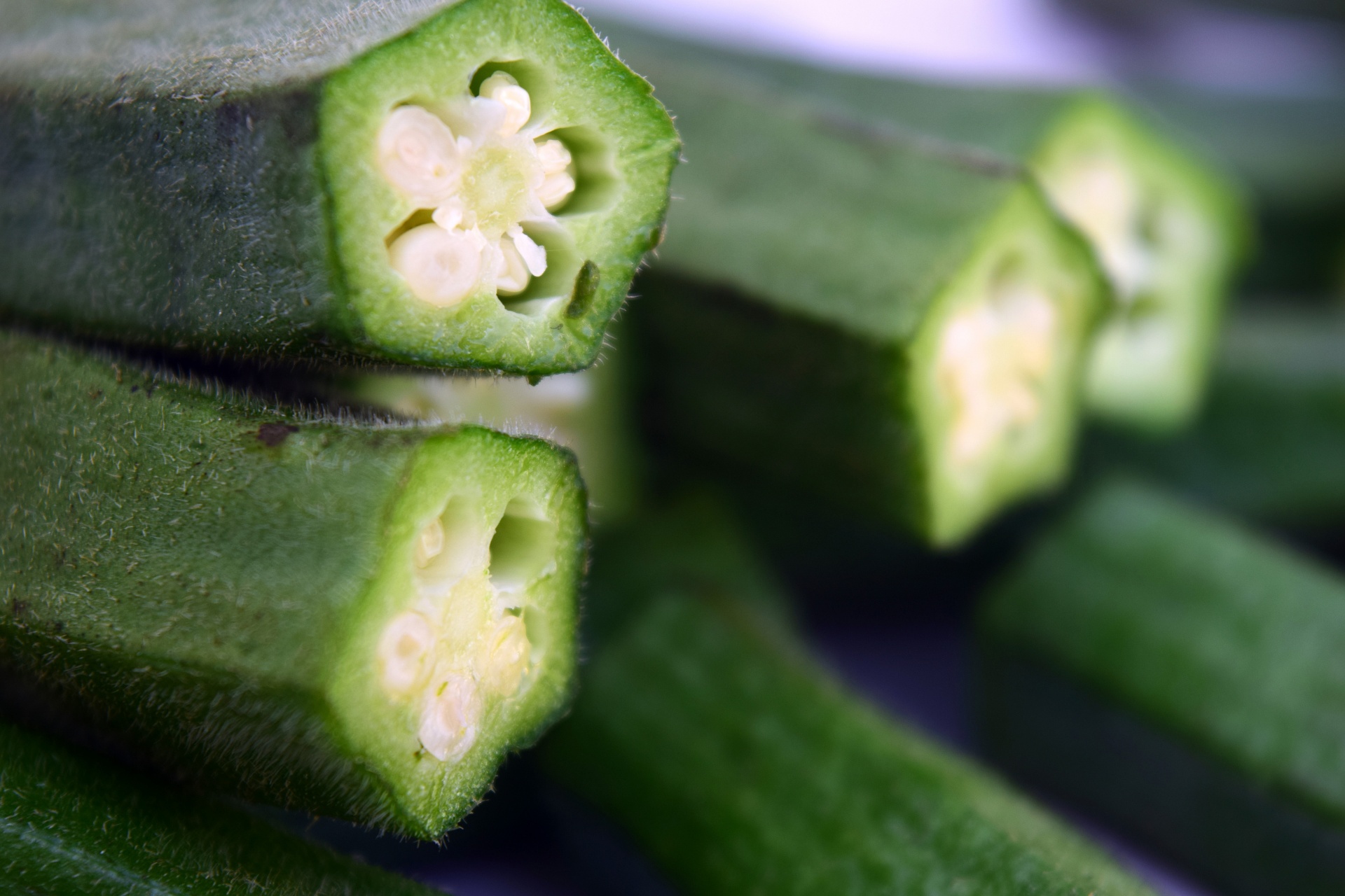 bhindi okra ladies' finger free photo