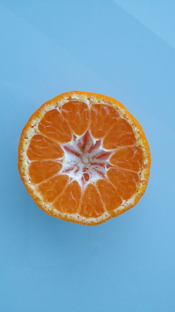 cut fruit  orange  fruit free photo