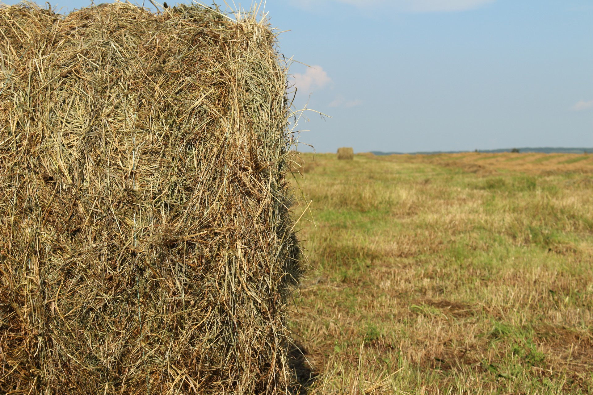 cut hay bale free photo