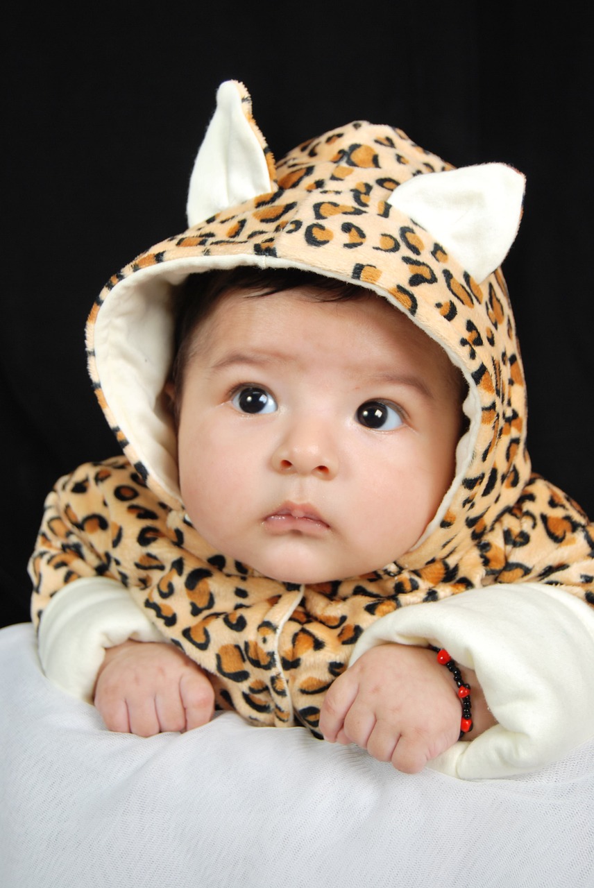 cute bebe tigresito free photo