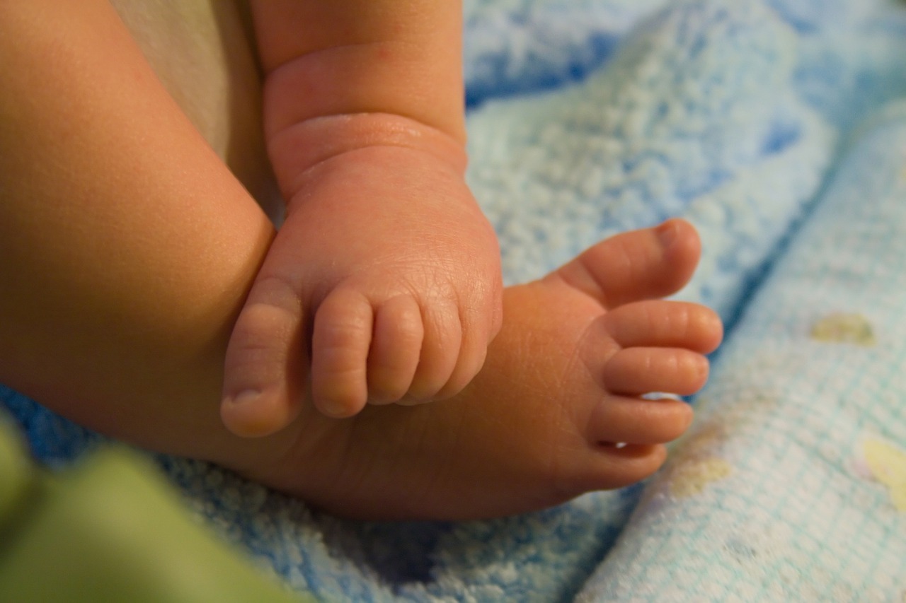 cute baby feet free photo