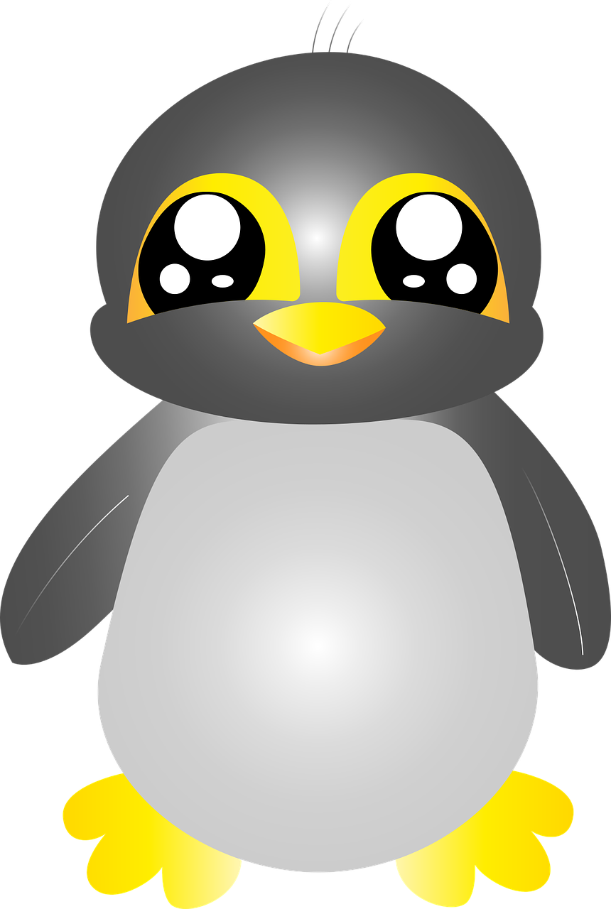 cute penguin animal free photo