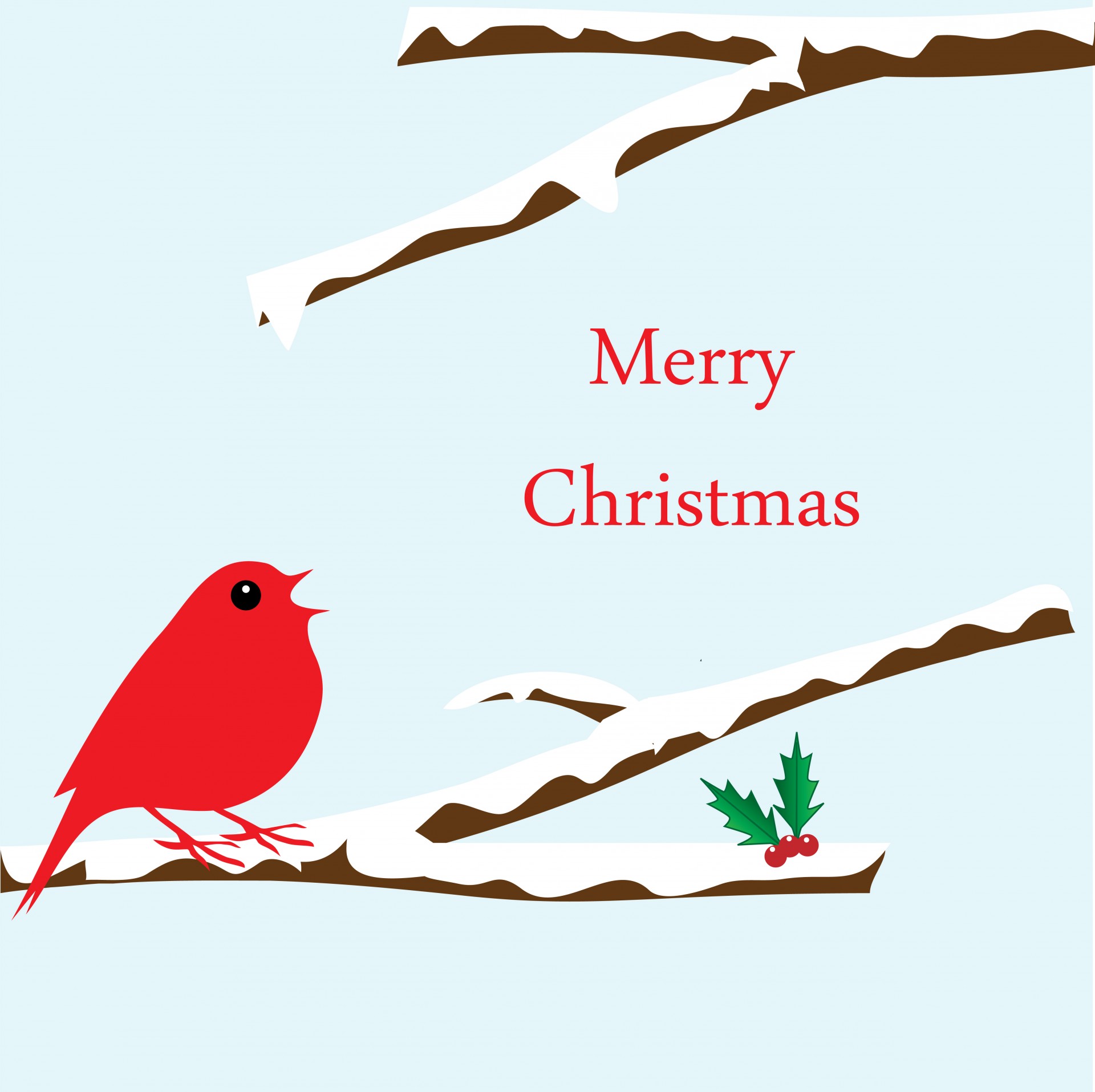 christmas christmas card bird free photo