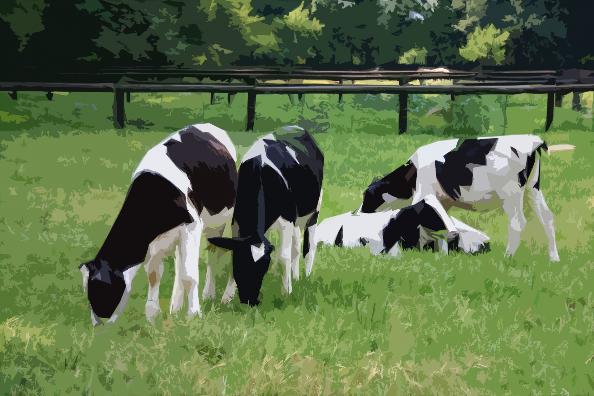 cows black & white freesian free photo