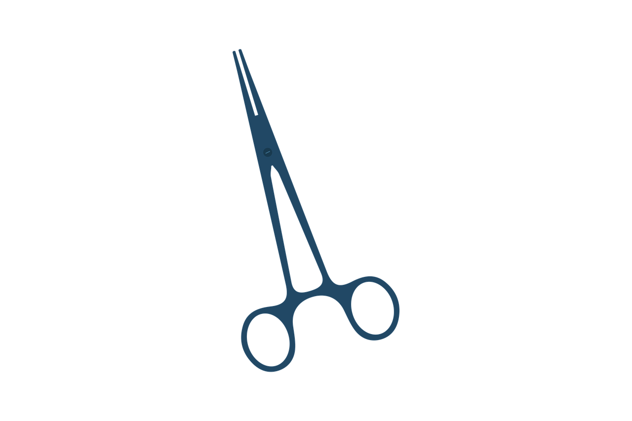 cutting  scissors  craft free photo