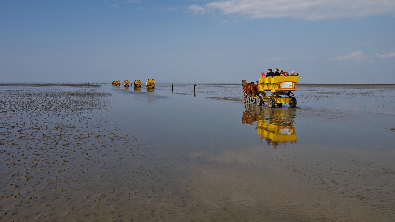 cuxhaven wadden sea ebb free photo