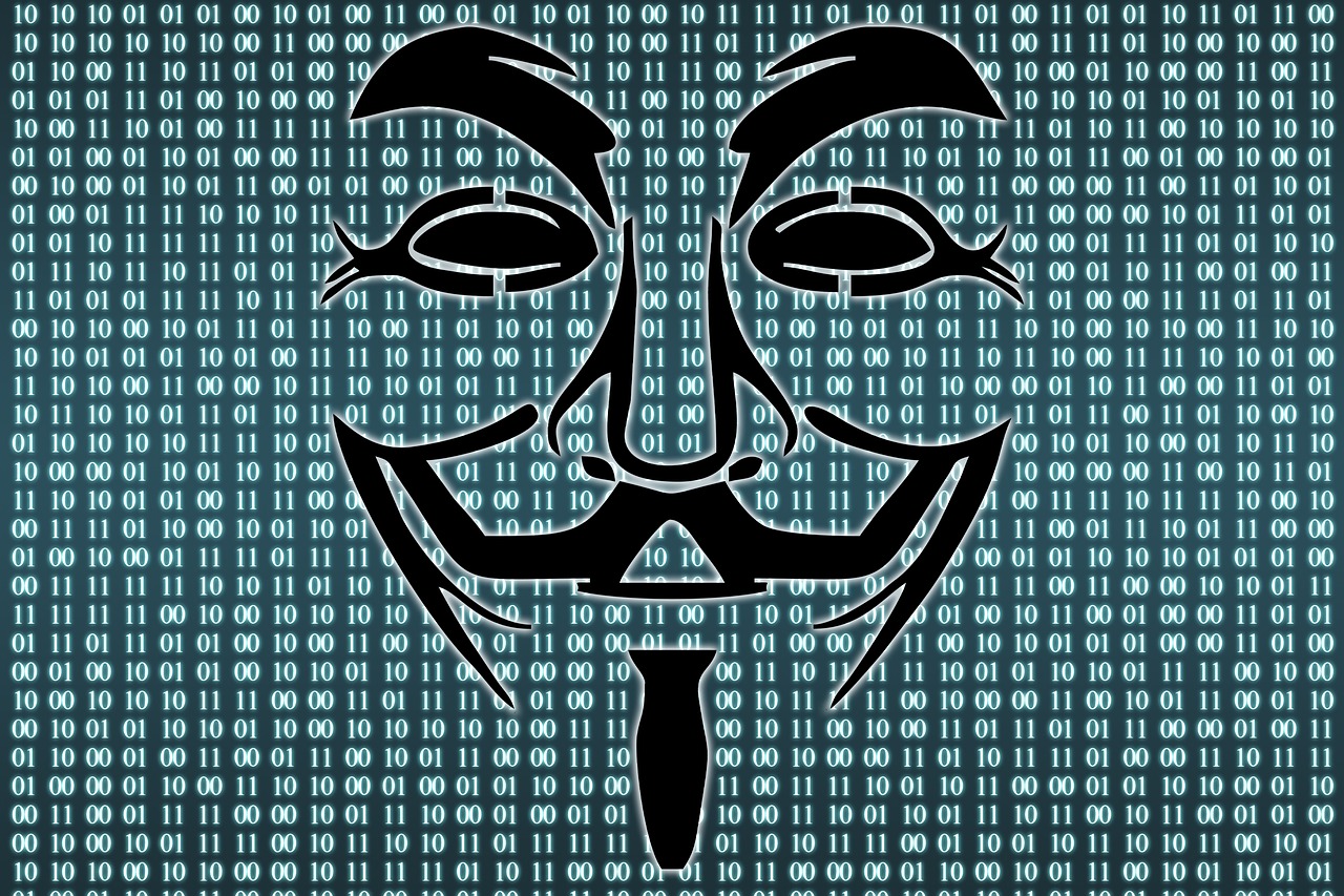 cyber  security  anonymous free photo