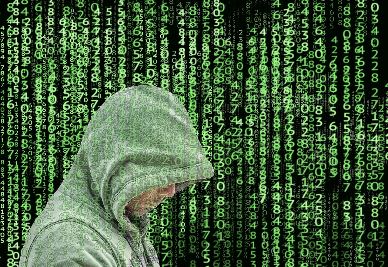 cyber security  hacker  online free photo