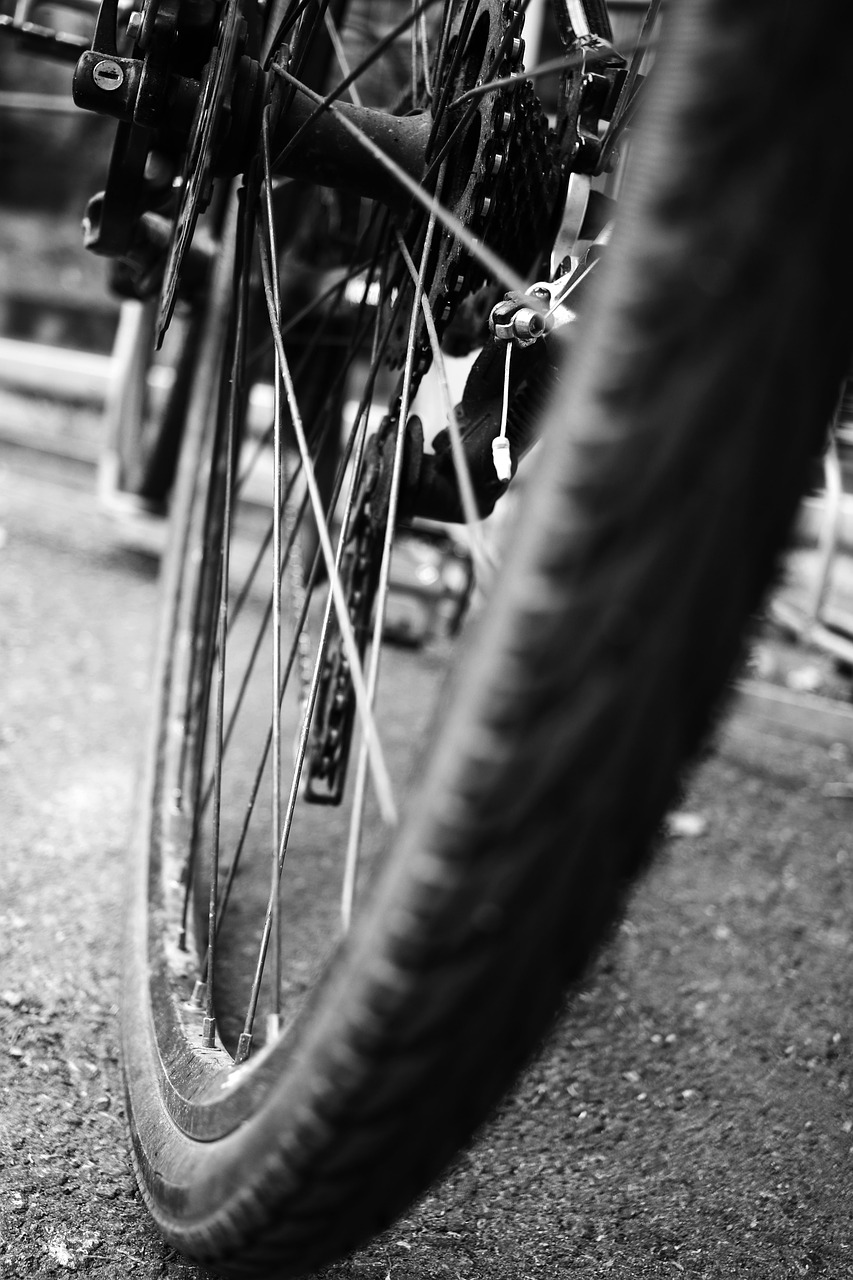 cycle wheel bike free photo