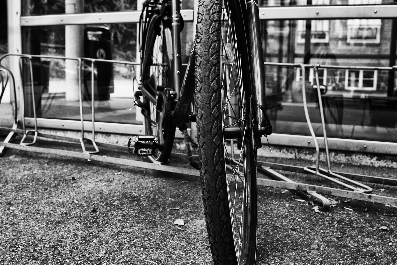 cycle wheel bicycle free photo