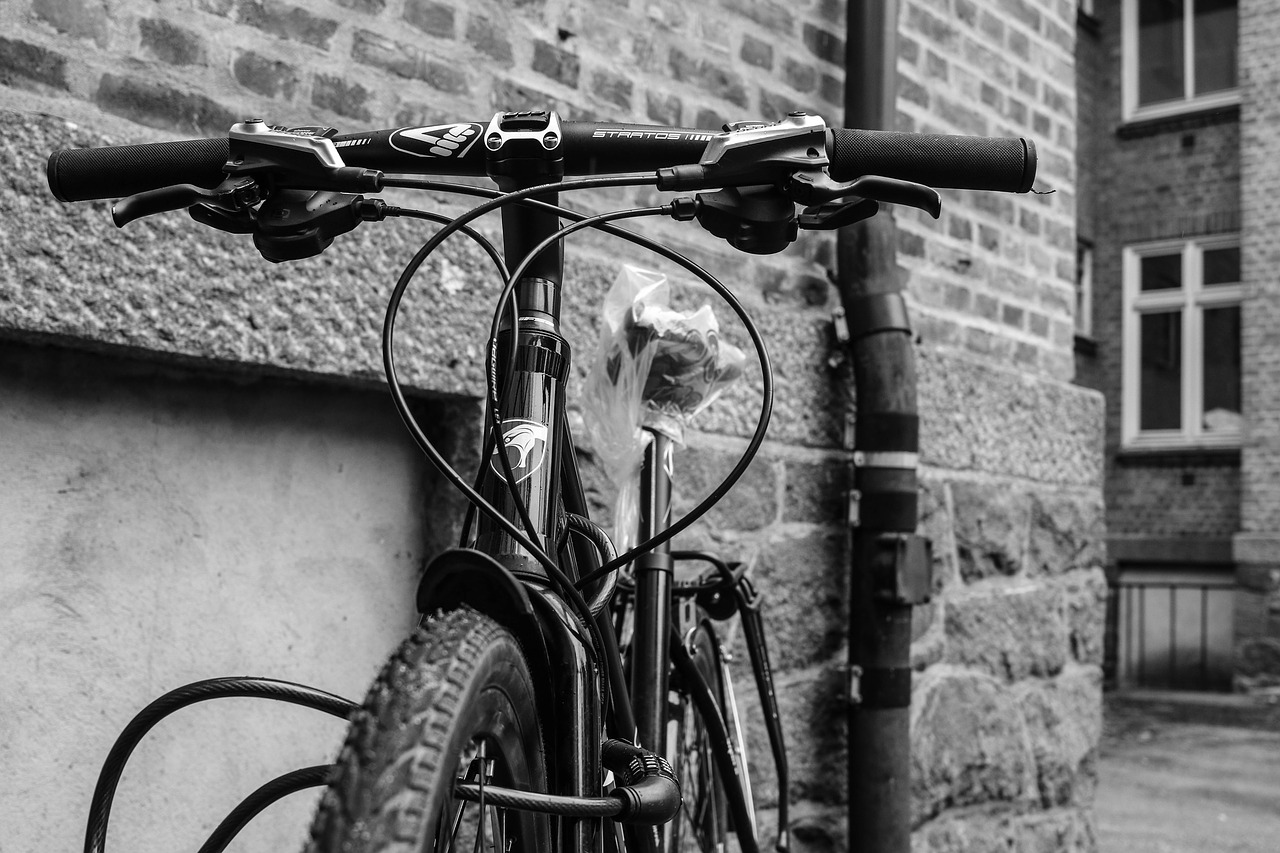cycle bicycle bike free photo