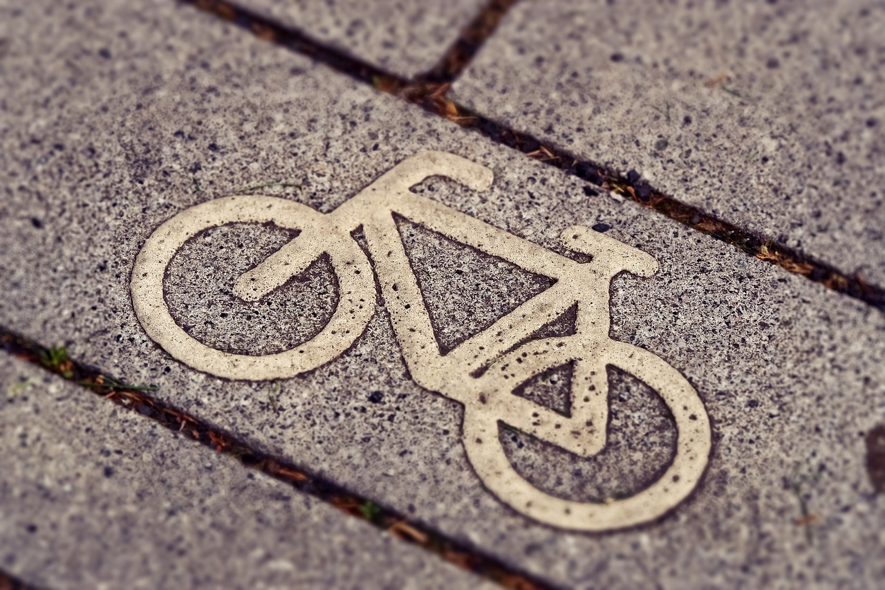 cycle path  cycling  bicycle path free photo