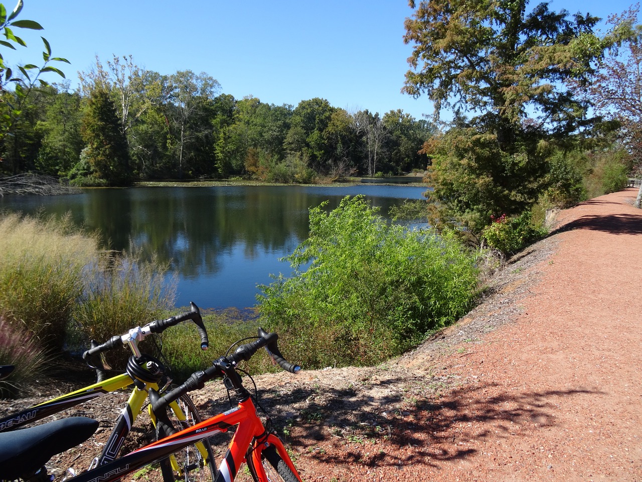 cycling nature excursion free photo