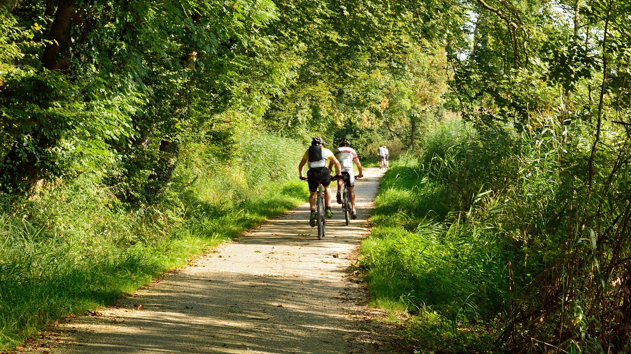 cycling cyclists forest free photo