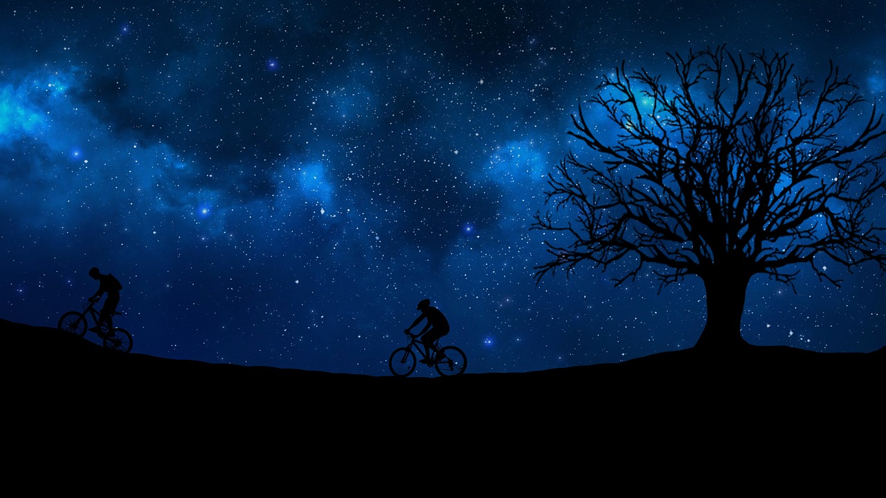 cycling night tree free photo