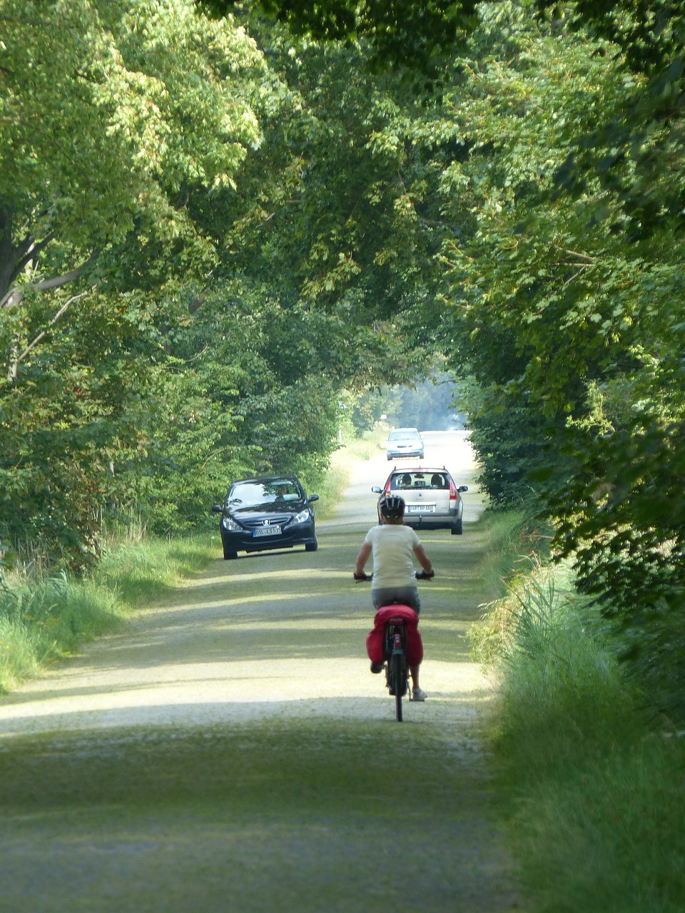 cycling avenue east germany free photo