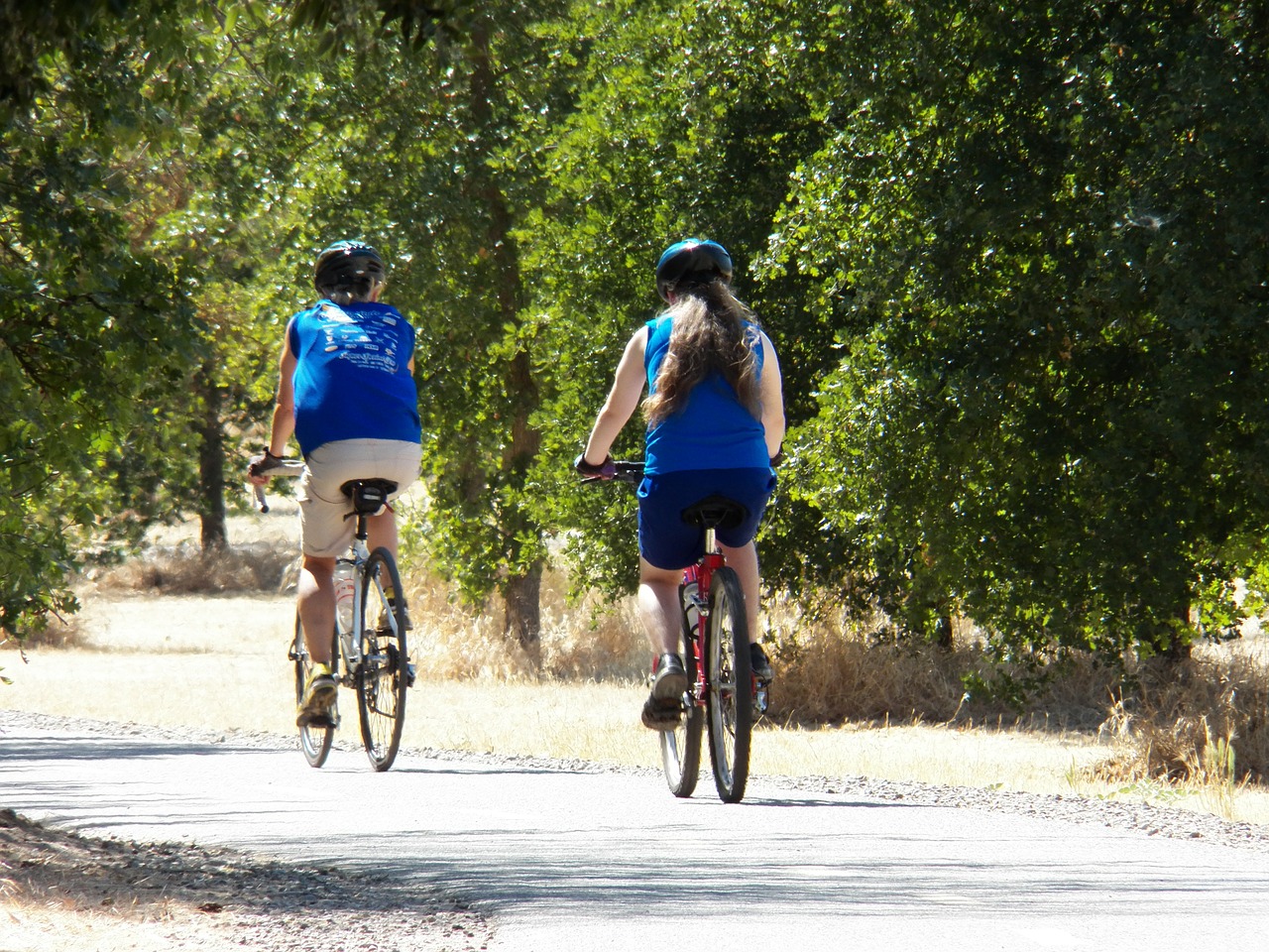 cycling bikes path free photo