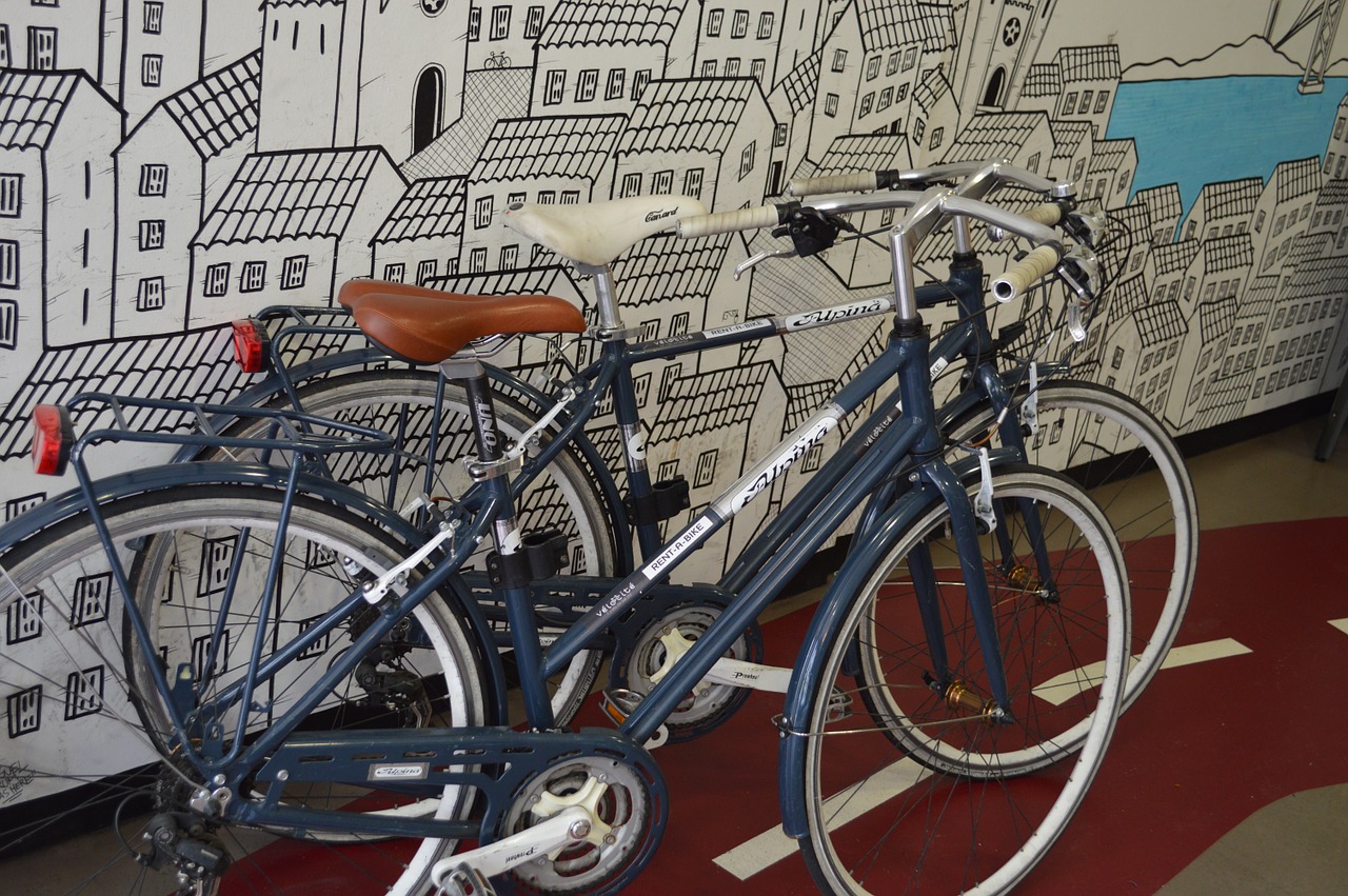 cycling bicycle shop shop free photo