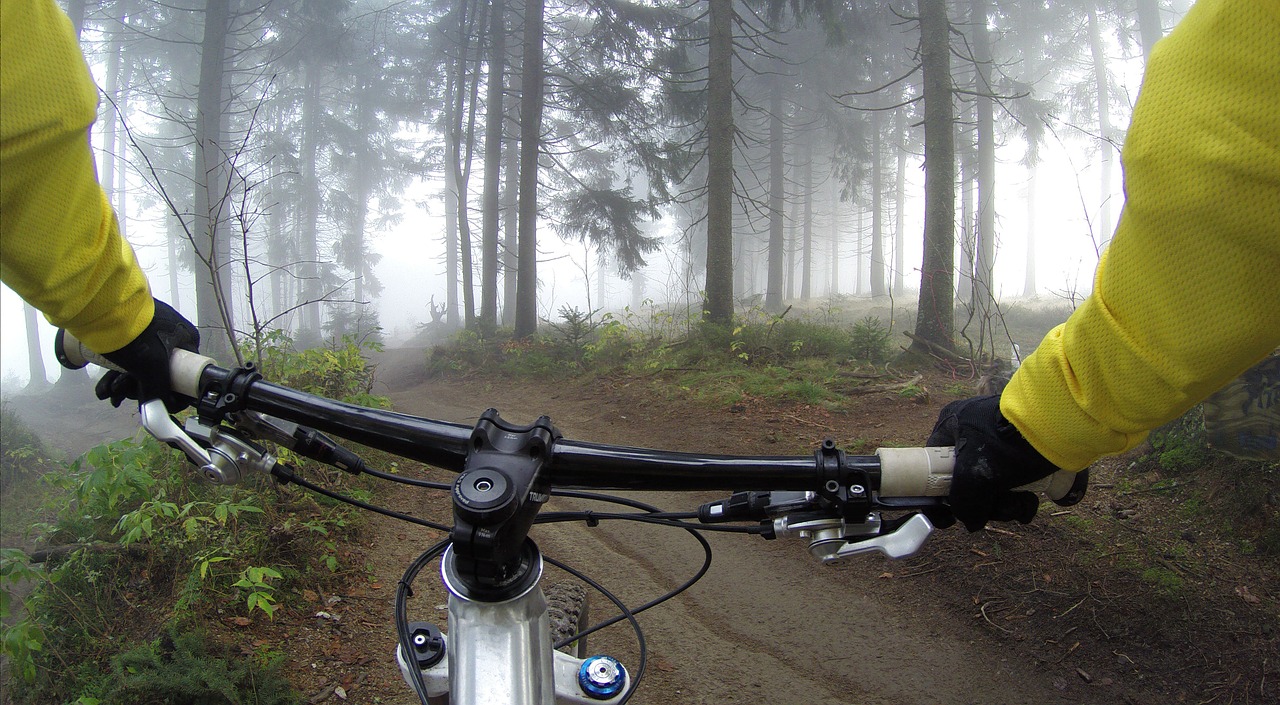 cycling handlebars woods free photo