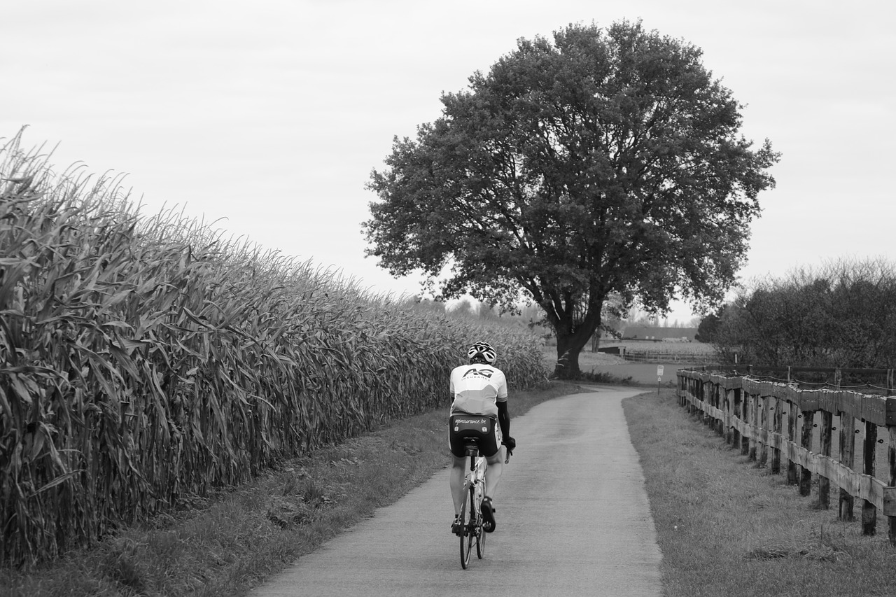 cyclist cycling sports free photo