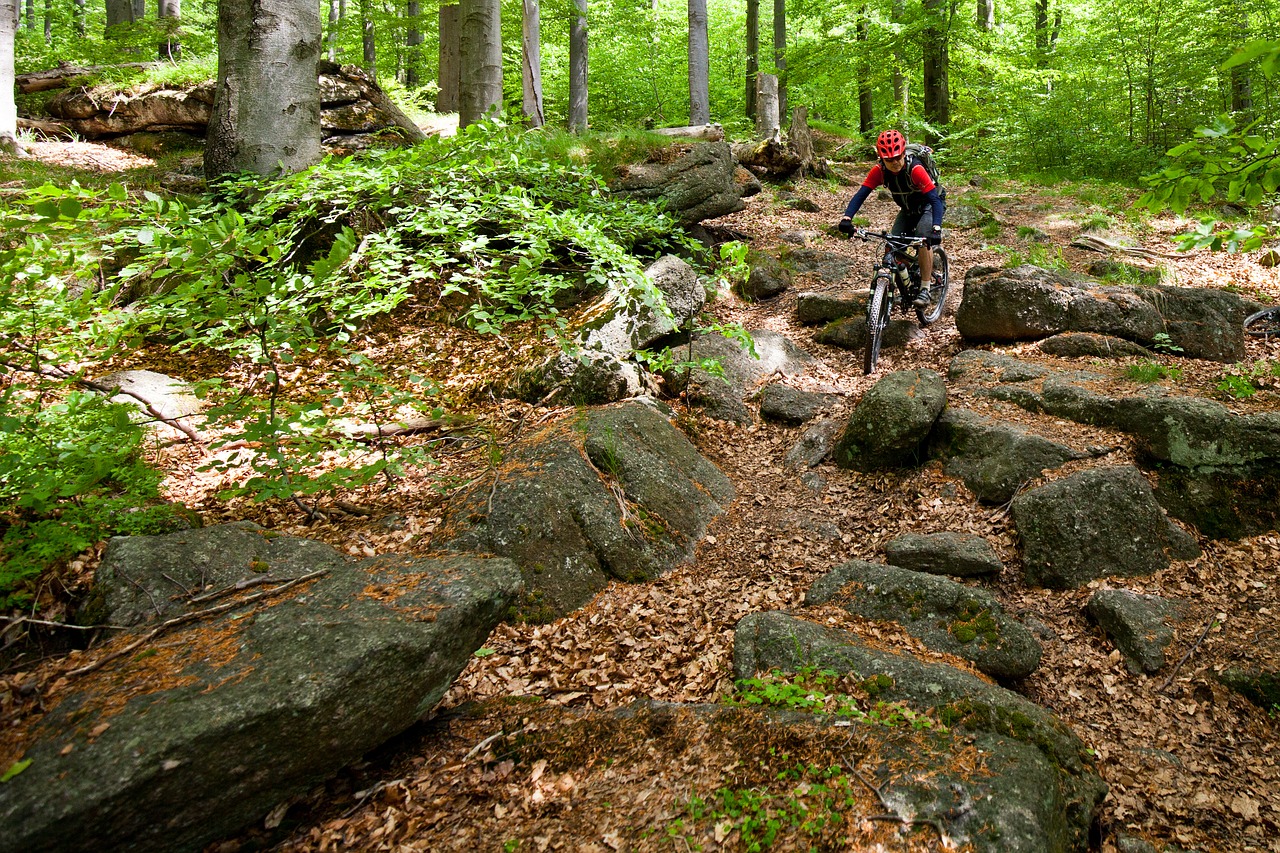 cyclist forest stones free photo