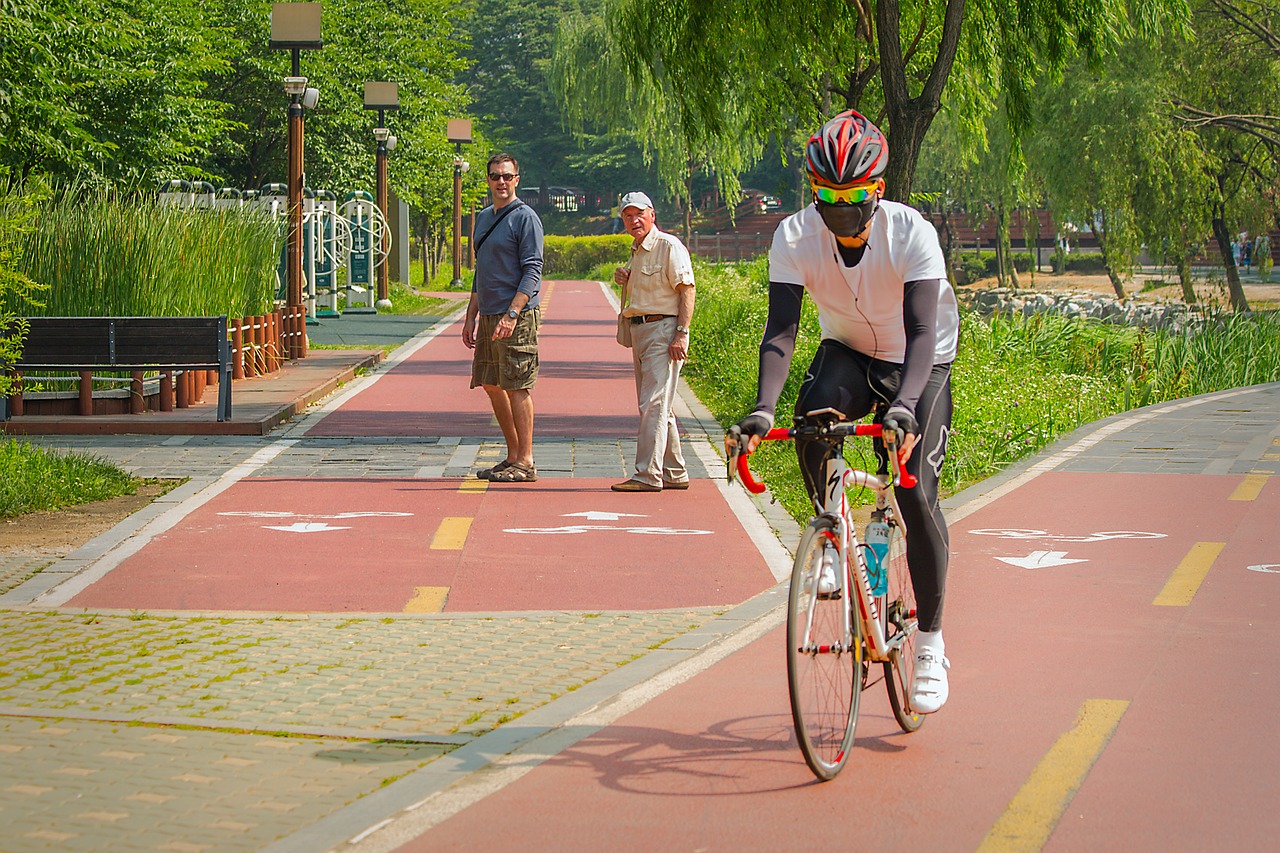 cyclist city park south korea free photo