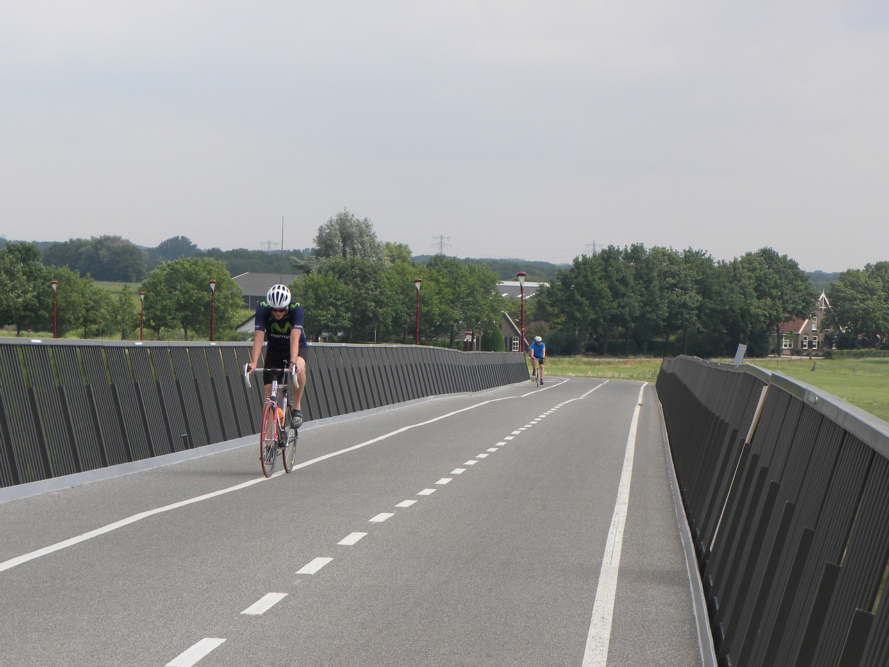 cyclist race bike netherlands free photo