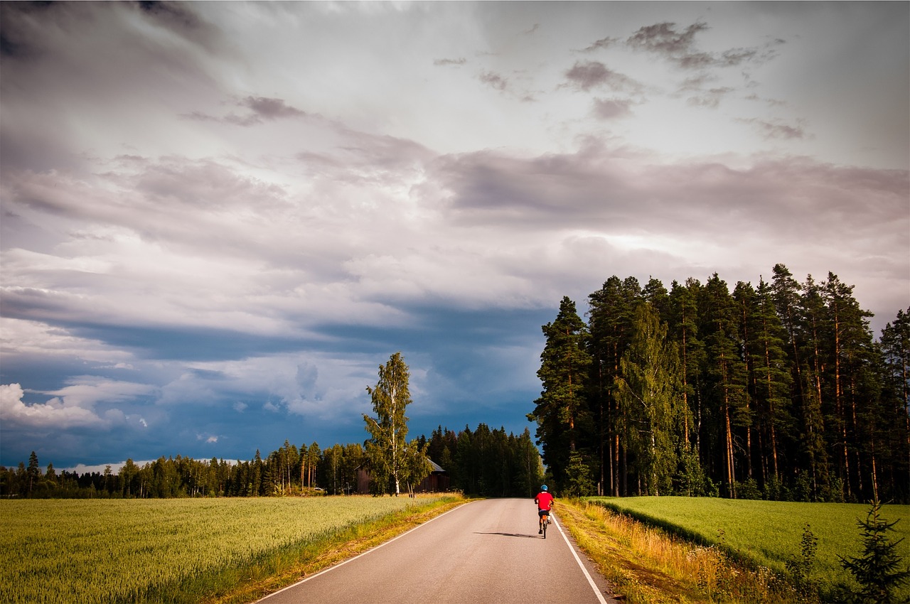 cyclist cycling bicycle free photo